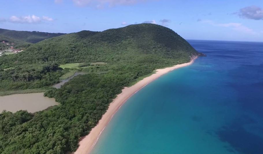 - La plage de Grande AnseLieu: Guadeloupe, Antilles Françaises
