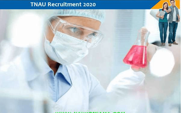 newsseoarticle's tweet photo. TNAU Recruitment 2020 post of Research Associate https://t.co/YewWIakXHp https://t.co/sOeOzYTkrJ