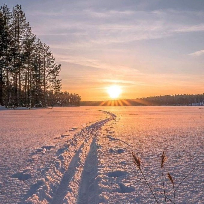 asif (@sifchaudhary) on Twitter photo 