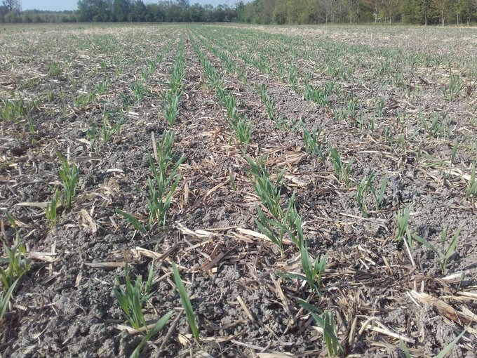 Voir l'image sur Twitter