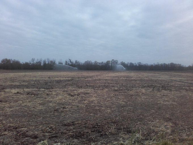 Voir l'image sur Twitter