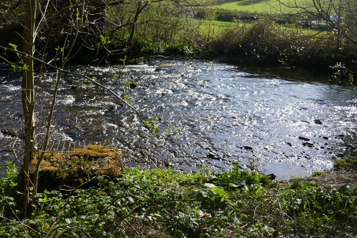 TheLengthsman's tweet photo. Furthest I have been today is down to the #RiverCrake
An eerie silence in the valley apart from the birdsong and the lapping water over the stones #nature #Paradise https://t.co/AbOw439kew