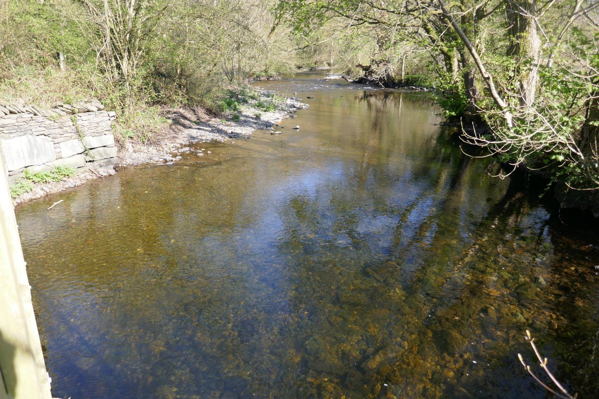 TheLengthsman's tweet photo. Furthest I have been today is down to the #RiverCrake
An eerie silence in the valley apart from the birdsong and the lapping water over the stones #nature #Paradise https://t.co/AbOw439kew