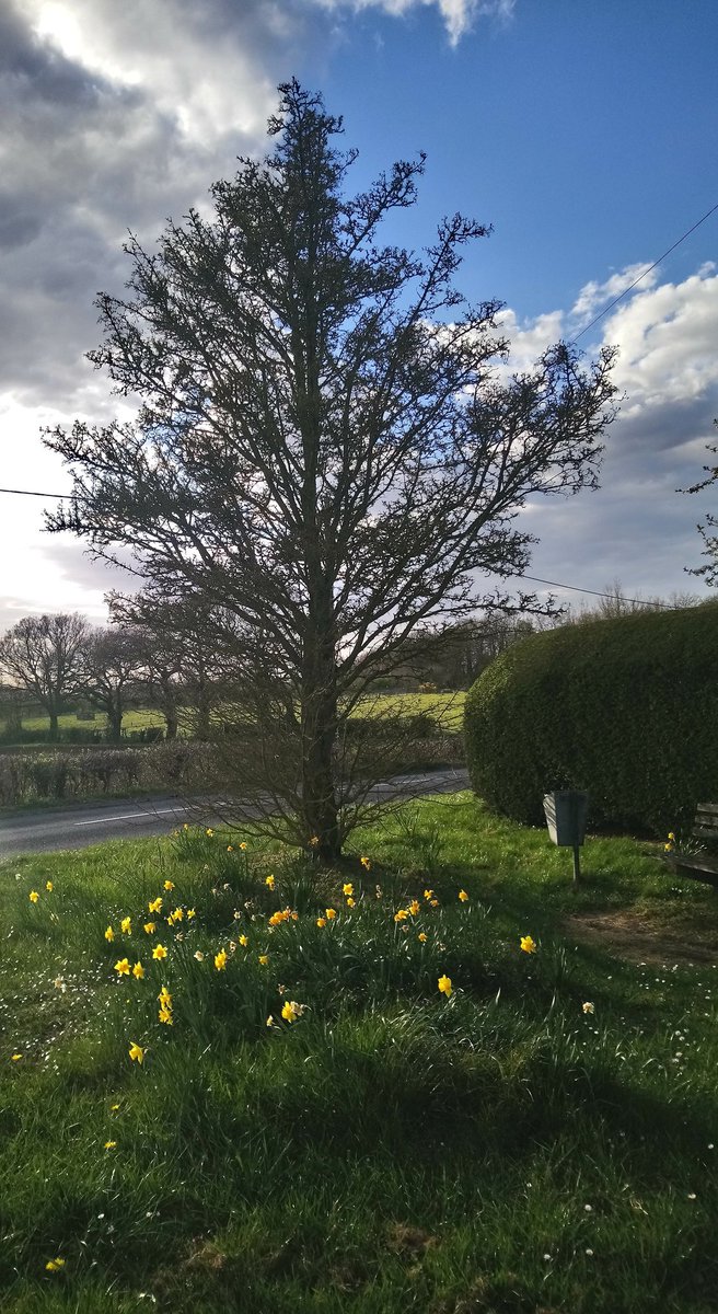 Julie Stainer (@julie_stainer) on Twitter photo We were really looking forward to #WalktheWight but will #walktheWightOurWay in beautiful Suffolk instead <a href="/MountbattenIW/">Mountbatten Isle of Wight</a> #InTrainingForNextYear We were really looking forward to #WalktheWight but will #walktheWightOurWay in beautiful Suffolk instead <a href="/MountbattenIW/">Mountbatten Isle of Wight</a> #InTrainingForNextYear