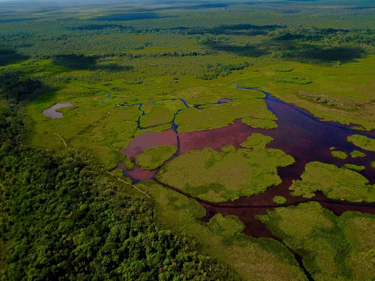 - Les pripris de yiyiLieu: Guyane, Amérique du sud