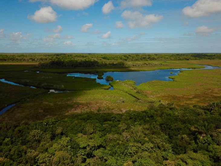 - Les pripris de yiyiLieu: Guyane, Amérique du sud