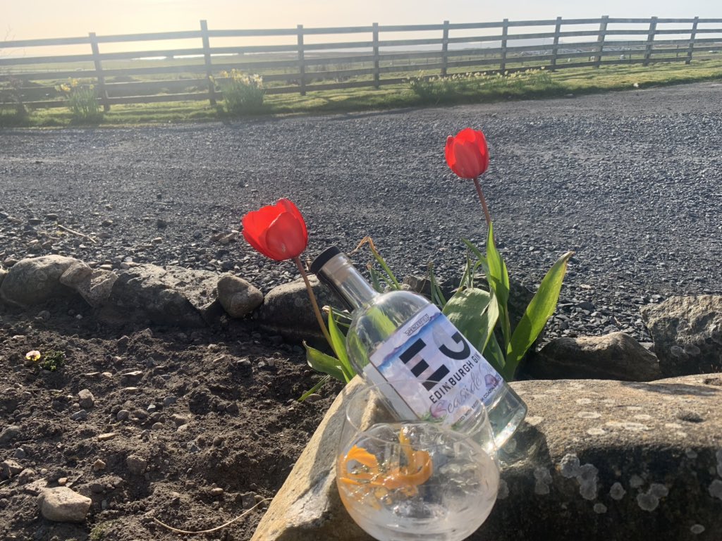 GlenegedaleH's tweet photo. This evenings gin of choice from the @GlenegedaleH gin list is @Edinburgh_Gin seaside gin. #gin #islay #ginlist #hatehashtags https://t.co/cZ6vGExbWf