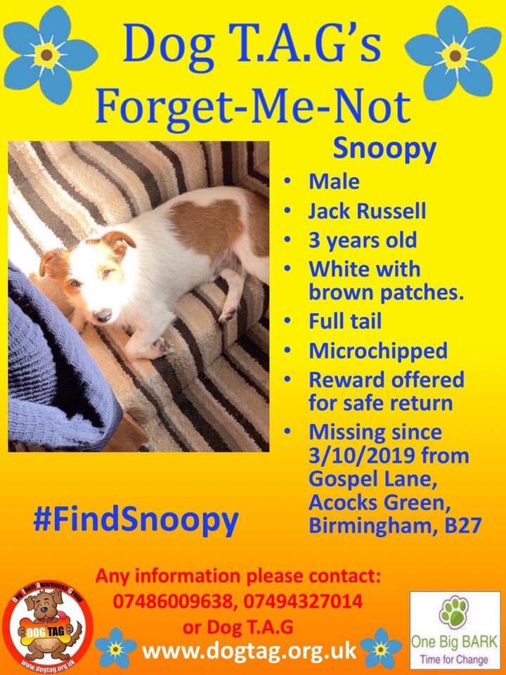 veryluckypugs's tweet photo. 🆘🆘 This week's Forget Me Not is #FindSnoopy. Missing since 3/10/2019 from Gospel Lane, Acocks Green, Birmingham, B27. His owners won’t give up, they are heartbroken. Please Share everywhere xx https://t.co/eG8SpB8VHy