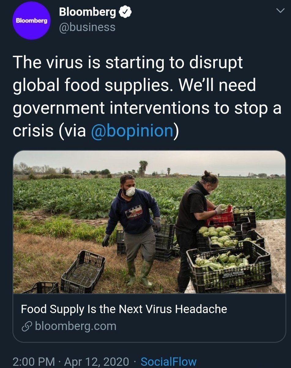 Point #2: Supply DisruptionsThere's enough land to grow enough food for peopleBut that becomes difficult when individual people & entire Nations begin to hoardWhich is exacerbated by labour shortagesLack of movement = labour shortages = fear = hoarding = supply shortages