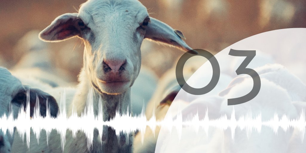 Ein ganz zauberhaftes Gespräch mit Nadine über das Leben als Familie in einer großen Lebensgemeinschaft: Projekt "Gemeinschaft" (2/2) - Ziegen, Familienzeit und zehn Omas.

Jetzt an deinem Podcastkiosk an der Sofaecke.