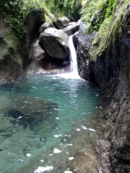 -Les gorges de l'AlmaLieu: Martinique, Antilles FrançaisesCette rivière est connue pour avoir une eau particulièrement limpide