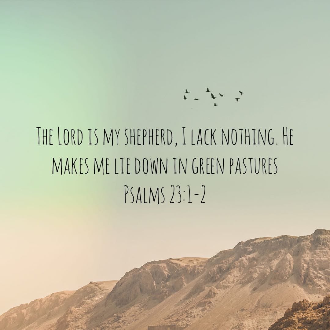bible.com/111/psa.23.1-2…