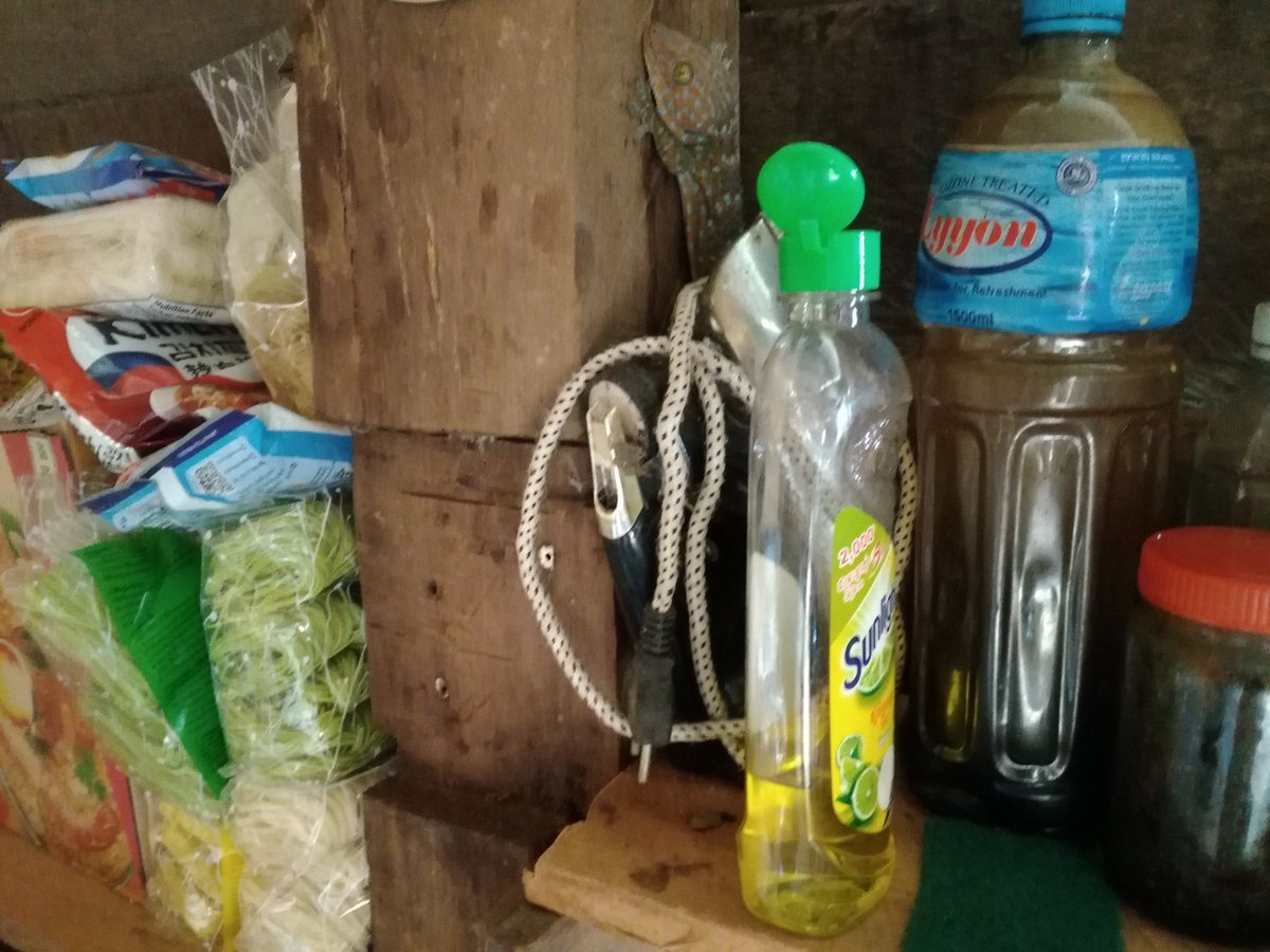 Creature in the kitchen.