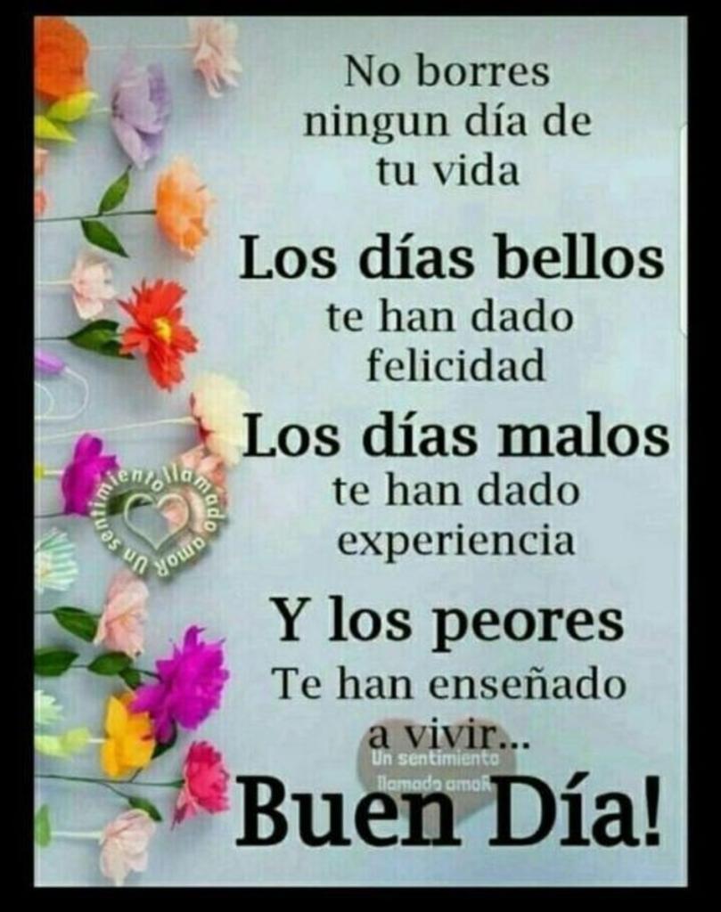 kukiys's tweet photo. @davidcantu3 Buenos días querido amigo que tengas un gran inicio de semana a vivirlo con alegría y dando un sin fin de amor de quiero mucho que 😘😘 https://t.co/Bj0vhMEcie