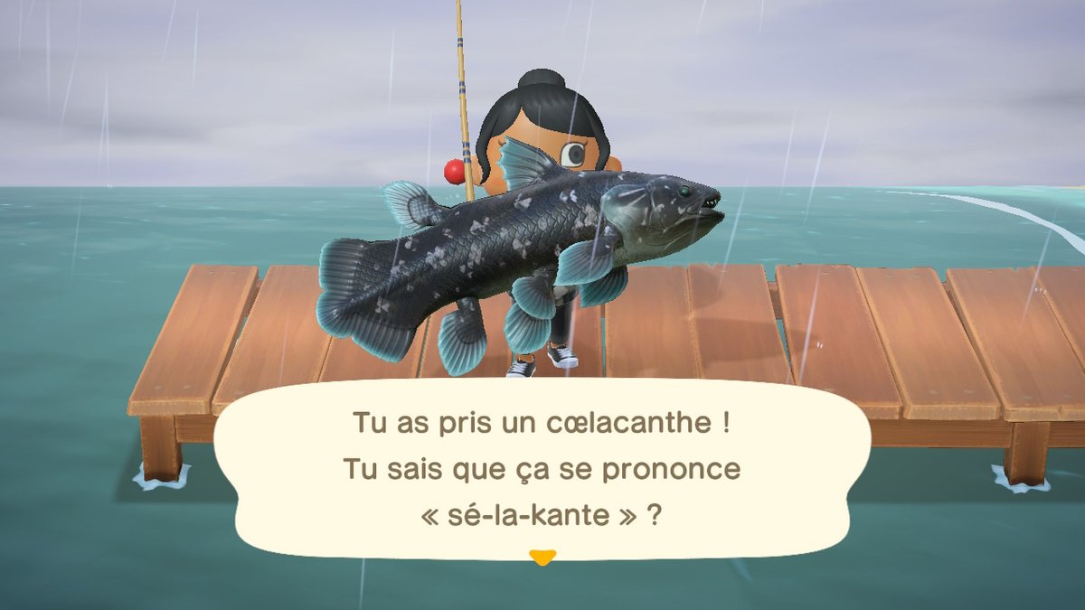 MayPandart's tweet photo. #AnimalCrossing #ACNH #NintendoSwitch https://t.co/ULmFt6Quvo