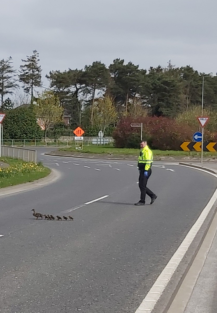 gardainfo's tweet photo. Blanchardstown Comm Policing Unit on #Covid19 c/point today encountered this family exercising within 2kms of their home who are aware of #PhysicalDistancing but are from the same family unit.
#StayAtHomeAndStaySafe
#HereToHelp https://t.co/ynJ39BW0y6