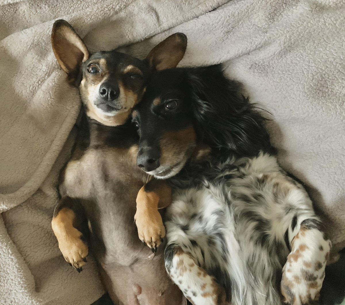 Willie Woo tweet media