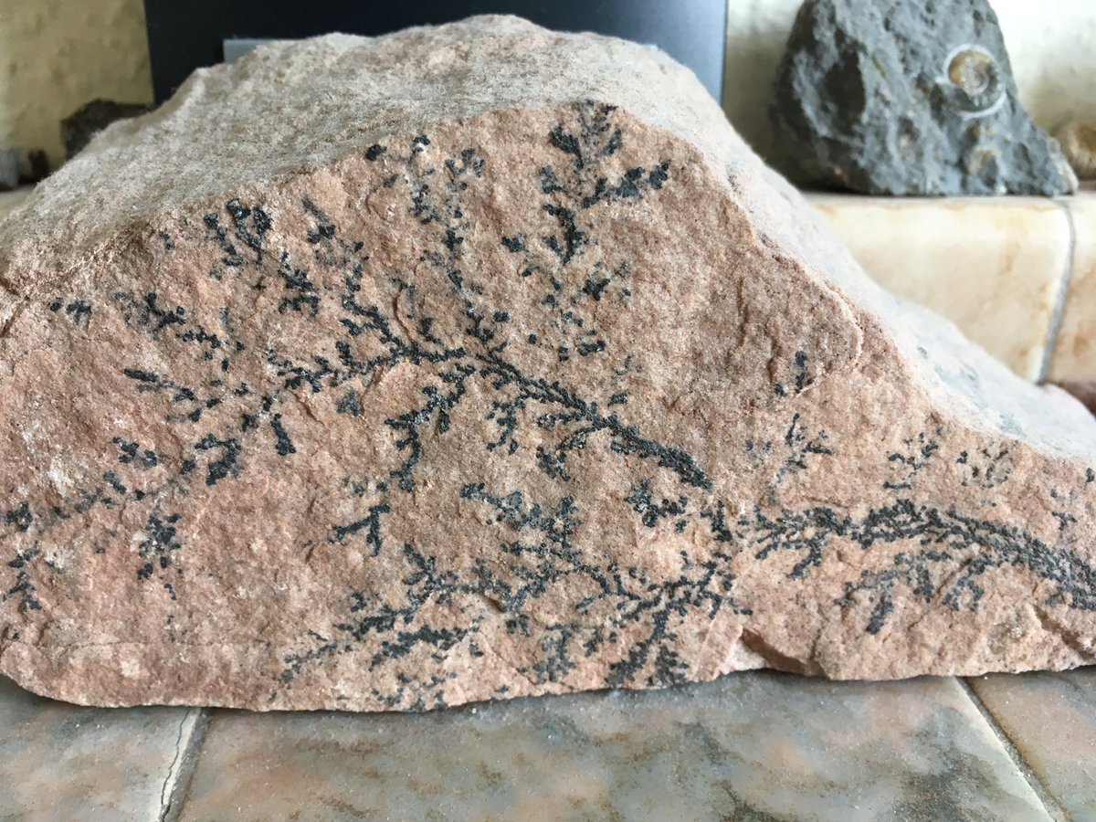 mineralcrusher's tweet photo. More #fromthemantelpiece than #rocksathome but here’s a different one for #MineralMonday https://t.co/fd2c1oRBTy