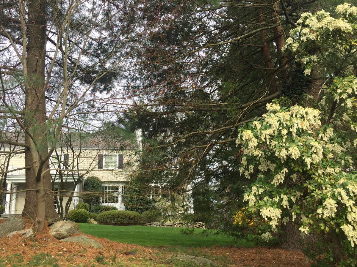 americannanny's tweet image. The home I came of age in became larger and lost its beautiful circular driveway. #harrisonny #imisshowitwas