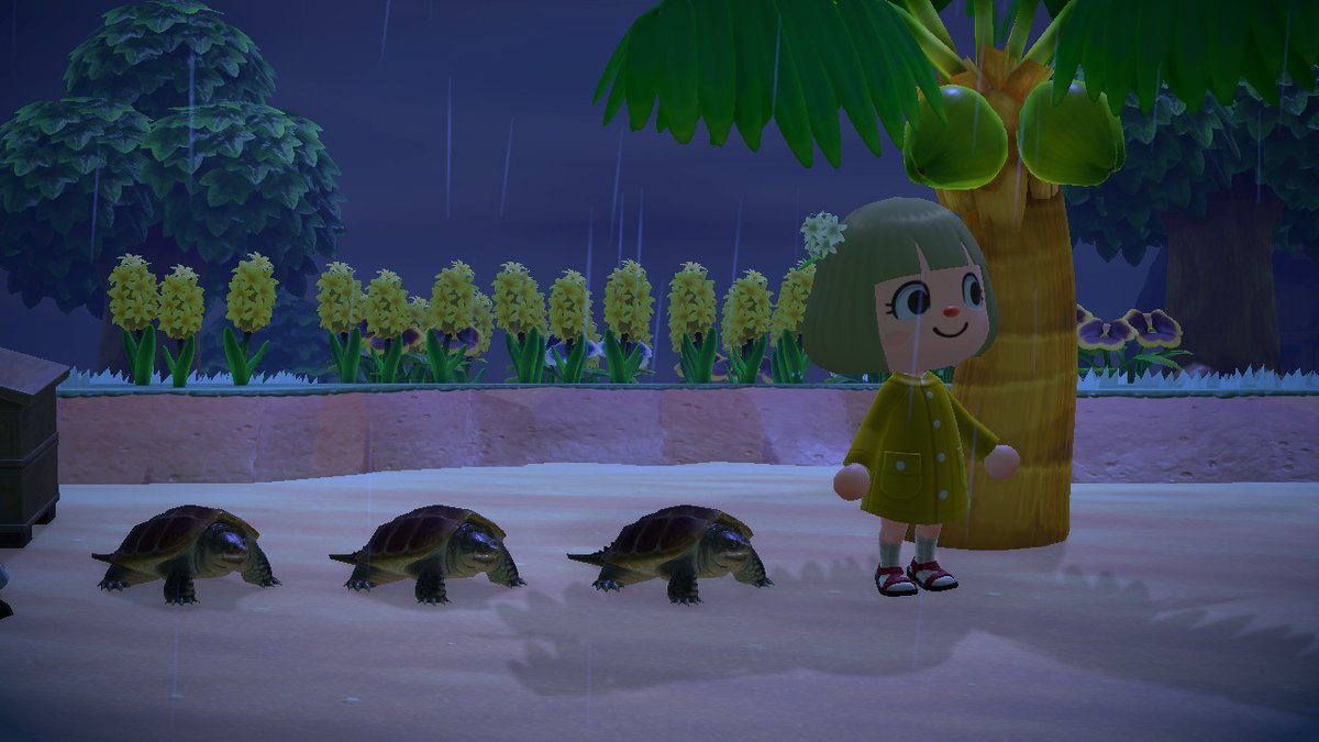 nrmn2424's tweet photo. #どうぶつの森 #AnimalCrossing #ACNH #NintendoSwitch https://t.co/BfI1FBnwKN