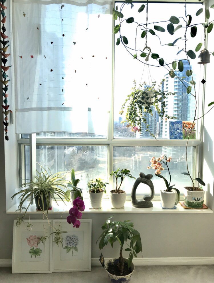 Sarah Chun tweet media