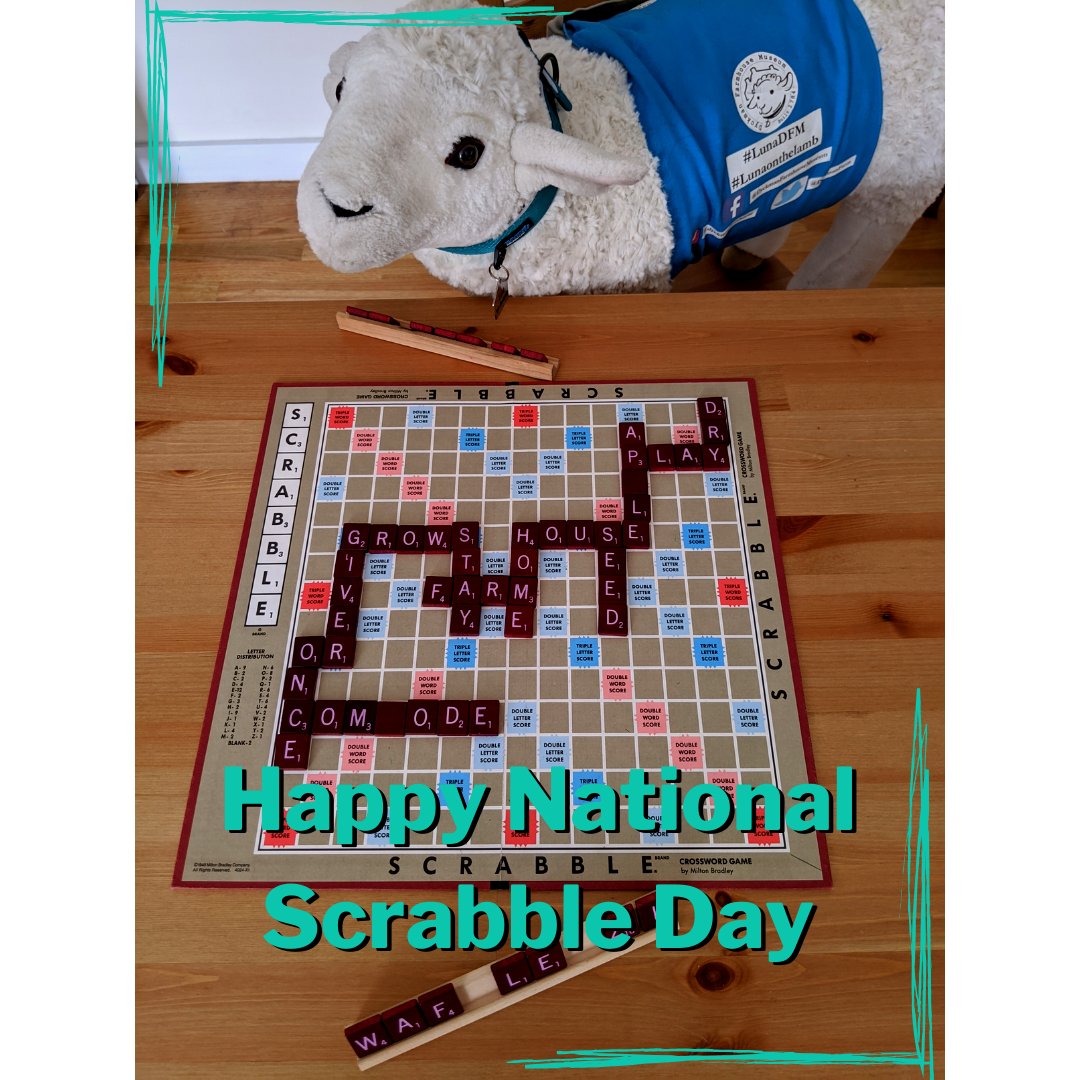 DyckmanFarm's tweet photo. Happy National Scrabble Day! Challenge your mates to a game! How many farm related words can you make in one game?#NationalScrabbleDay
#LunaontheLamb #LunaDFM #DFM https://t.co/IVXj835FrS