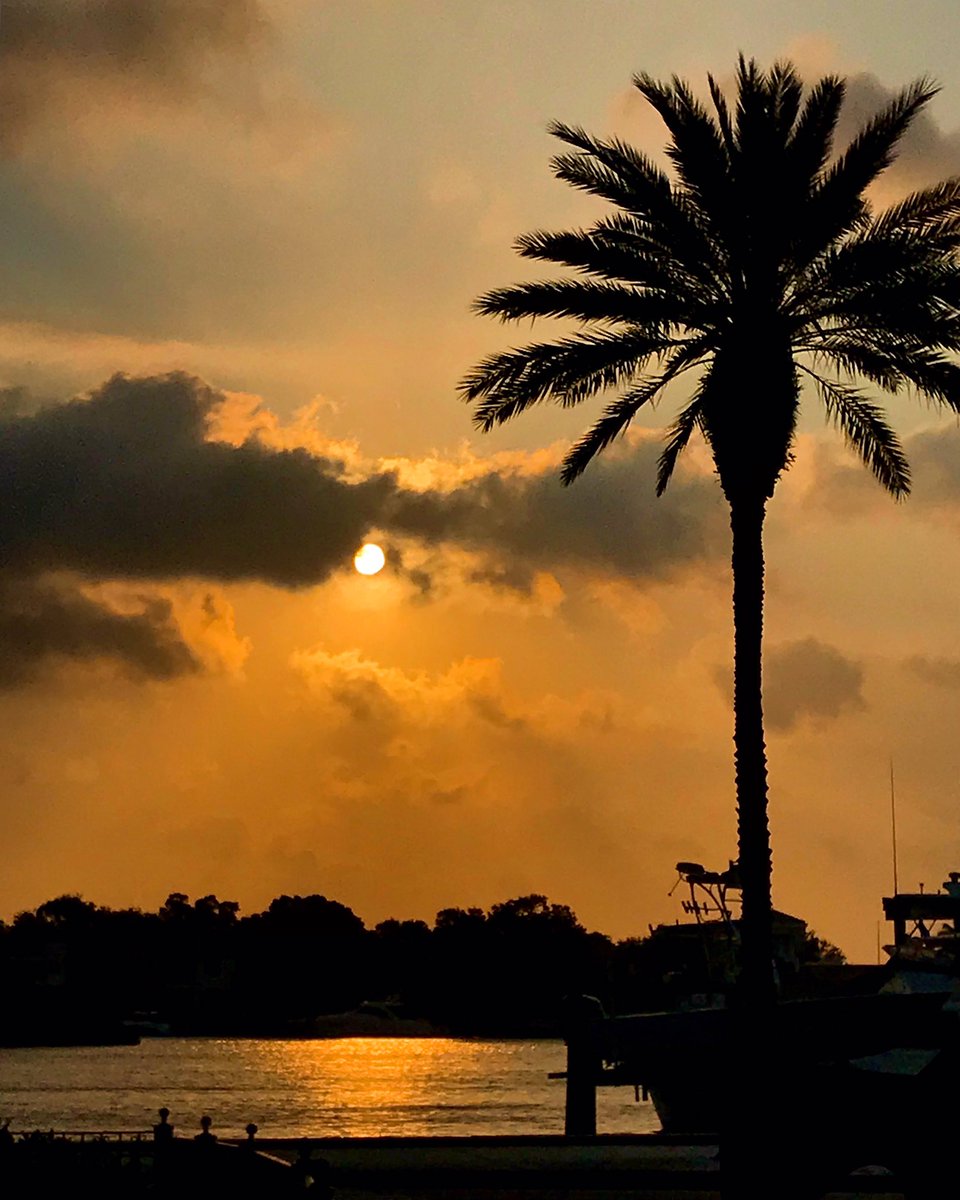 LibraGirlTracy's tweet photo. Breathe in, breathe out. You got this. π π
π§‘#stpete #keepstpeteshining #instaburg #ilovetheburg https://t.co/JP3hrLlQm6