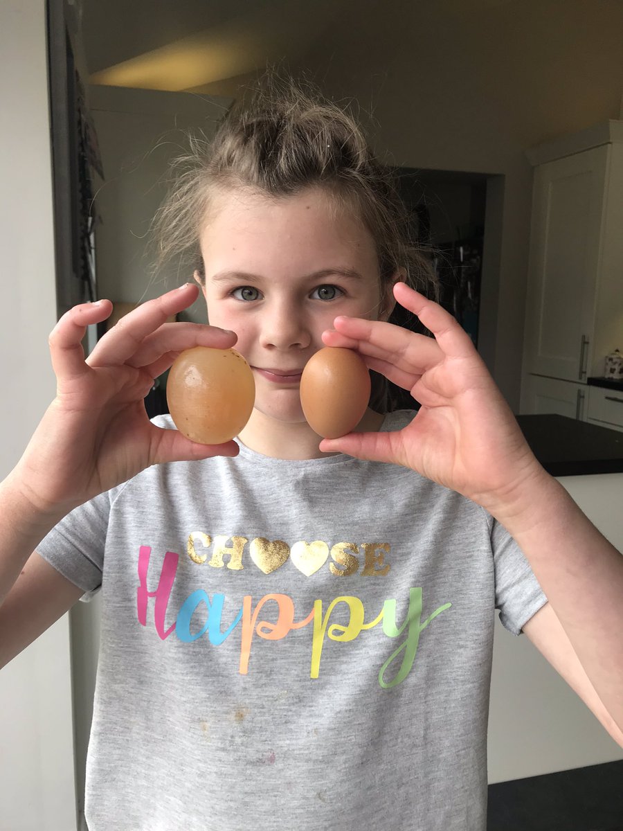 lucyscottpaul's tweet photo. @MashamCEP #Eggcellent #Eggsperiments #experiments #Easter2020 Egg shell dissolved in vinegar, food coloured eggs & tough eggs which don’t break!! https://t.co/ZyvWz5CnQk