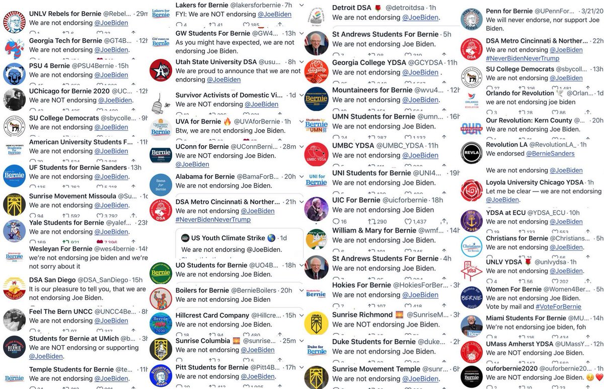 Starting a thread with the Blue Checkmarks (and possibly some noted Centrist Trolls and what not) chastising and mocking leftist groups that announced they would not endorse Biden. (Not sure who made this (let me know & I'll give credit) But here are all the marvelous orgs.