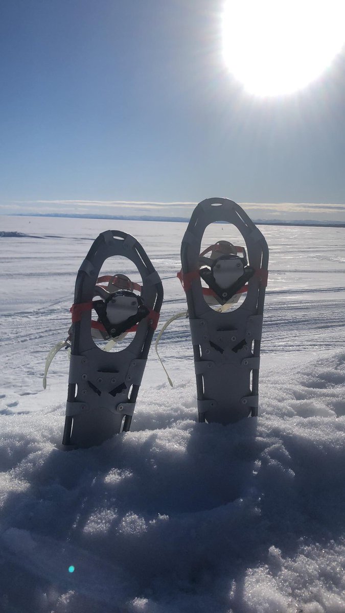 anastasia quoee tweet media