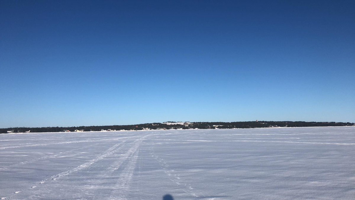 anastasia quoee tweet media