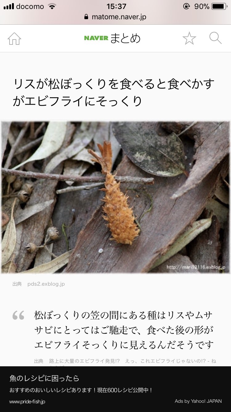 ヤマモトケンタ リスに松ぼっくりを与えるとエビフライになるらしい これはうちのリサちゃんでも試してみたいな ゚ ゚ T Co Eahsthzhq5 Twitter ヤマモトケンタ リスに松ぼっくりを与えるとエビフライになるらしい これはうちのリサちゃんでも試してみたいな ゚ ゚ T Co Eahsthzhq5 Twitter