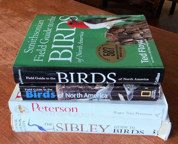 Field guides are very useful, so beginning birders should carry one. Looking at a bird and then a guide can help you learn which features to keep an eye out for. There are great apps and online tools too, like  @MerlinBirdID and  @inaturalist.  #NatureNerding101