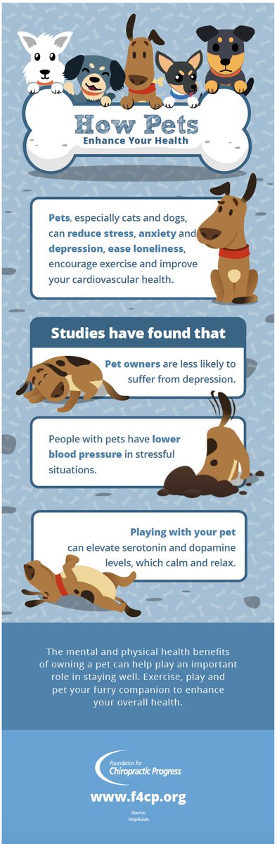 F4CP's tweet image. Pets, especially cats and dogs, can reduce stress, anxiety and depression, ease loneliness and enhance your overall health during the pandemic. Chiropractic care enhances health by reducing stress in the body. We are here for you and so are our furry friends.
#ThinkChiropractic