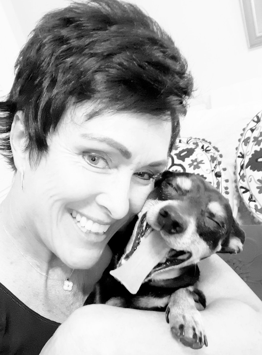 MsD22417591's tweet photo. #sharevcs...virtual share your pet day!!
Come on y'all!!! https://t.co/pEPswxGx3q