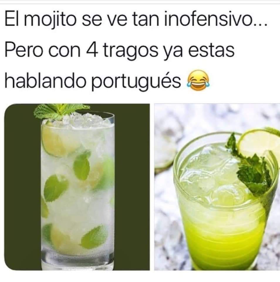 Descubre 32 ideas de Memes y imágenes graciosas | imágenes divertidas, memes  divertidos, memes y más, image size:954x960