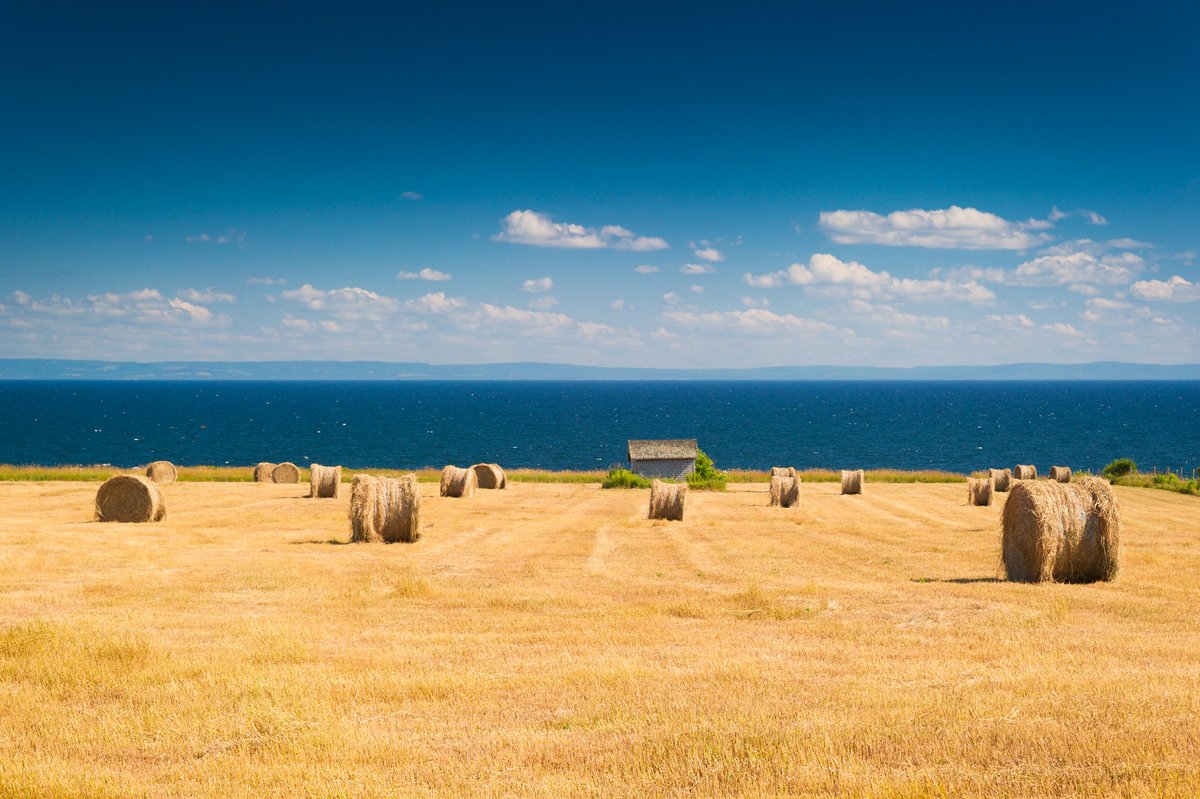 Golf Prince Edward Island tweet media