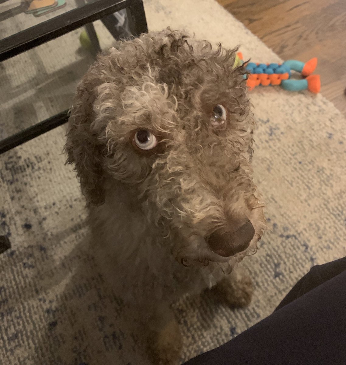 TheJulepDoodle's tweet photo. Mood: rainy Monday morning https://t.co/sCgXxONm8n