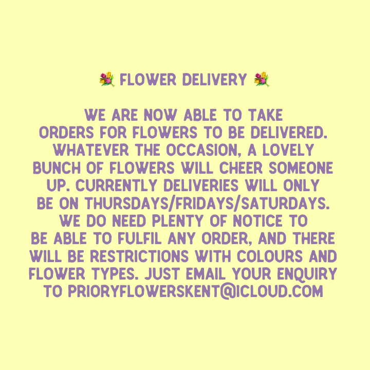 PrioryFlowers's tweet photo. https://t.co/l3TkuBo9sZ