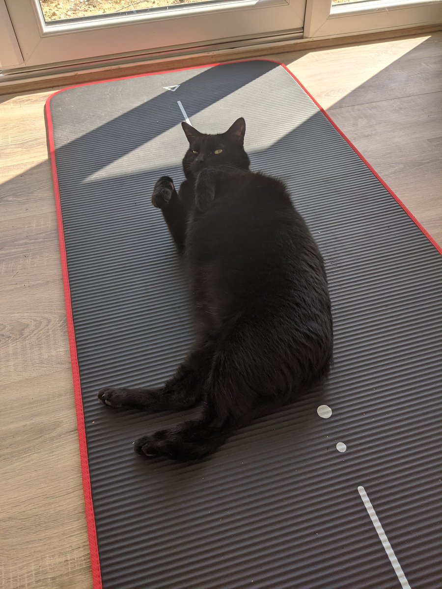recramred's tweet photo. This is so me before and after my exercise today. #lockdownexercise #blackcat #legshavegone https://t.co/ZODcCdx5fa