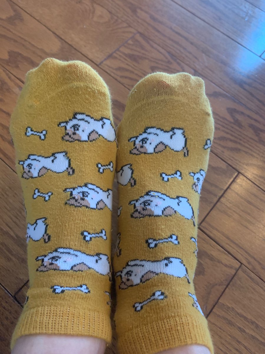 ChristineHildi2's tweet photo. What do you think of my crazy cute puppy dog socks!! 🐶 Miss you all! https://t.co/Ze23lEymmW
