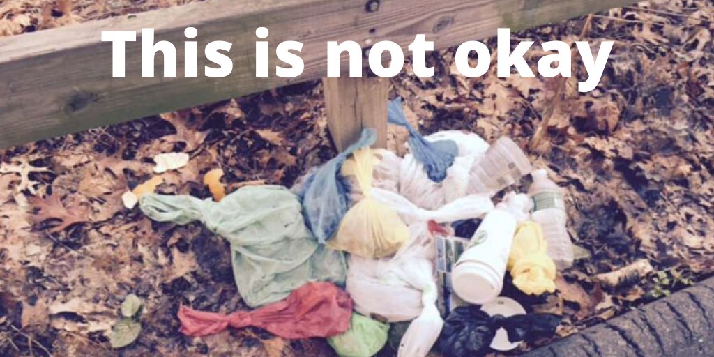 Dog owners - do your job! There is no #poopfairy that picks up after you. Throw your dog waste bags into trash cans or take it home with you to dispose of. Pls RT <a href="/MassDCR/">MassDCR</a> <a href="/NepGreenway/">Neponset River Greenway Council</a> <a href="/DotNews/">Dorchester Reporter</a> @Keepmabeautiful <a href="/FriendBlueHills/">Friends of the Blue Hills</a> <a href="/QPConservancy/">Quincy Parks Conservancy</a> <a href="/townofmiltonma/">Town of Milton MA</a> <a href="/DedhamTrails/">Dedham Trails</a>