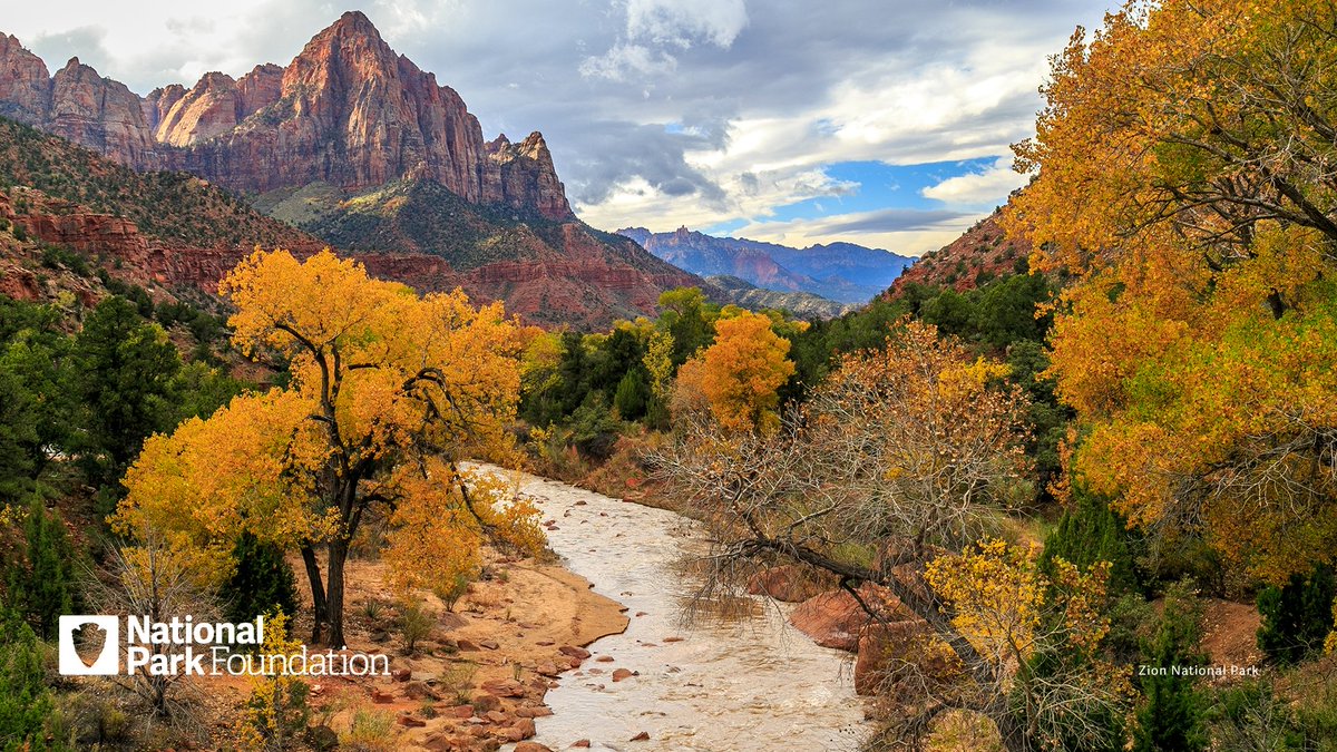 NationalParkFdn's tweet photo. Do you catch yourself wishing you were in a national park? Us too.

Use these backgrounds on your @zoom_us calls until you can get back into parks in person!

Download here: https://t.co/0wO21RtOIm

#FindYourPark #EncuentraTuParque https://t.co/0kBsLgXh0Y