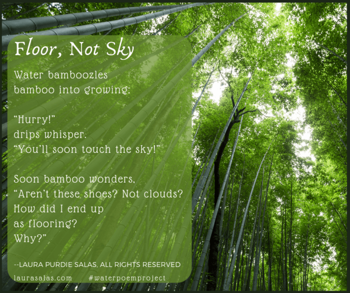 LauraPSalas's tweet photo. Day 13: Floor, Not Sky -- Bamboo gets bamboozled. #waterpoemproject #npm @laurashovan (#NationalPoetryMonth2020) https://t.co/mvth21JcQG https://t.co/POenN4qwV2