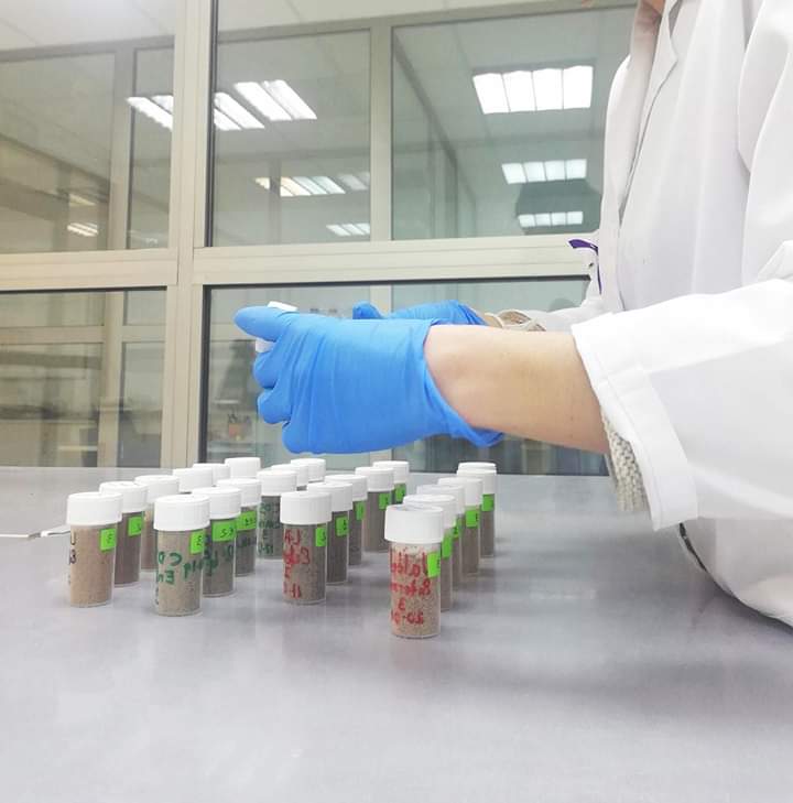 Retomamos la actividad, con todas las medidas preventivas necesarias 😷. En concreto, estamos finalizando el procesado de las muestras de suelo del Proyecto Life Mycorestore.
#idforest #lifemycorestore