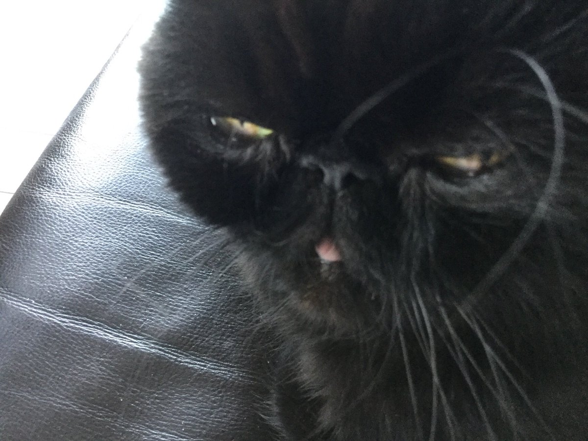 mpaquin2's tweet image. Adèle 10 ans, on voit toujours sa petite langue