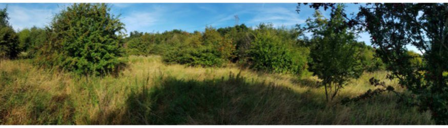Random photos of bits of the area, in the sunshine, taken by the office trainee that really don’t show or inform any of the context or inform the design. If you are really lucky you may even get away with google streetview images.