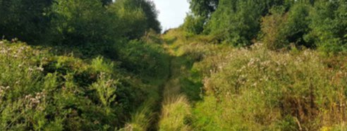 Random photos of bits of the area, in the sunshine, taken by the office trainee that really don’t show or inform any of the context or inform the design. If you are really lucky you may even get away with google streetview images.