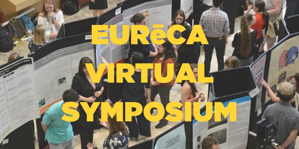 UTK_URF's tweet photo. All EURēCA posters can be viewed online at https://t.co/WHM3frBYLb. Create an account using your UTK email address, then select University of Tennessee in the drop down menu. Don't forget to join us at 4:45pm today for the Virtual Kickoff on Zoom! 

https://t.co/DKJppcPIVv https://t.co/sddEb1e9iC