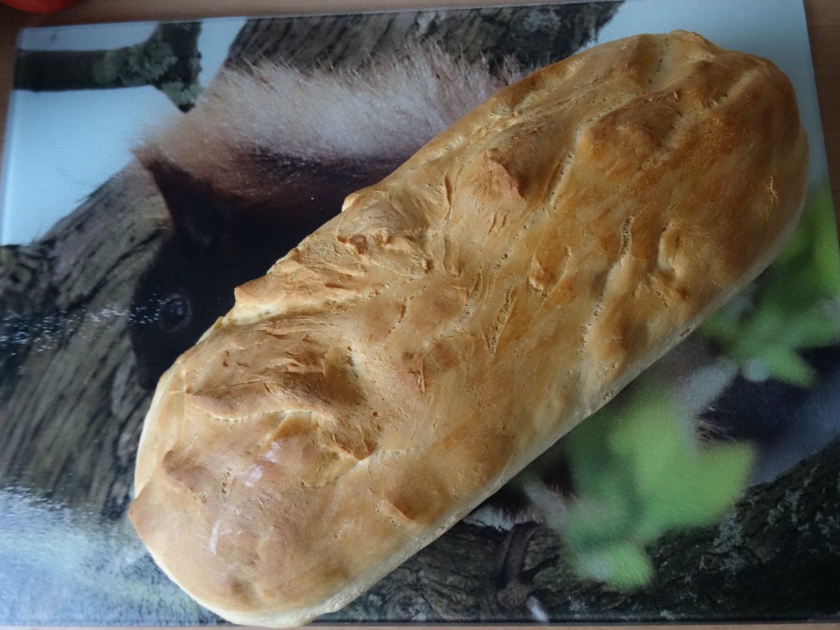 Kielia88's tweet photo. Mein Freund #Eichhörnchen bewacht das frisch gebackene #Brot. Glücklicherweise hatte ich noch einen Würfel #Backhefe. Diese ist in Geschäften momentan fast immer ausverkauft. Genau wie #Klopapier - #Corona sei Dank! https://t.co/5DEW9R4YAL